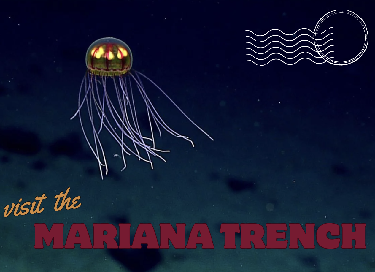 A postcard for the Mariana Trench.