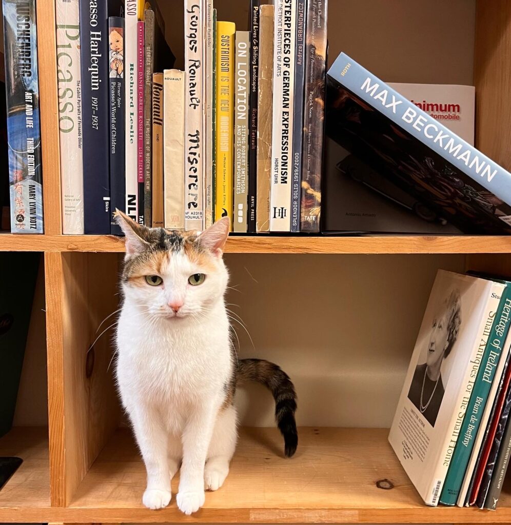 Al's cat, Nuk, stands on a shelf surrounded by art books.